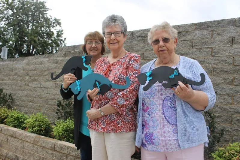 BE OVARY-AWARE: Today is Teal Ribbon Day in support of ovarian cancer and Myrtleford Craft Group members Dawn Bray( Left), Jackie Stagg and Pam Hamilton are taking no risks - this year selling teal cats to raise money for research into the disease that has a survival rate of just 46 per cent. The group is also placing teal stones around town to remind locals to be ovary-aware. PHOTO: Ashleigh Piles