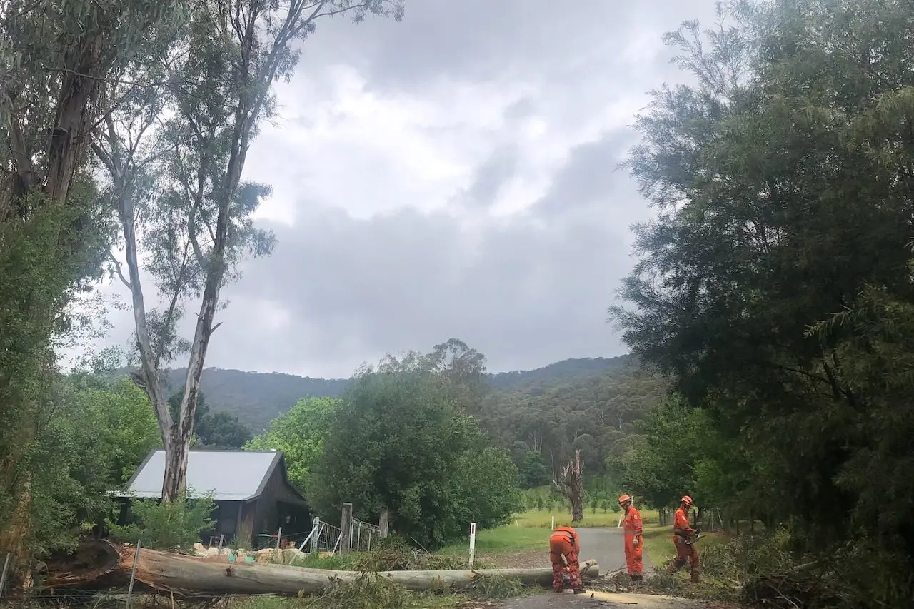 POUR-PUNKAH: Members of the Bright SES cleared away a tree in Porepunkah which had fallen and blocked a driveway.