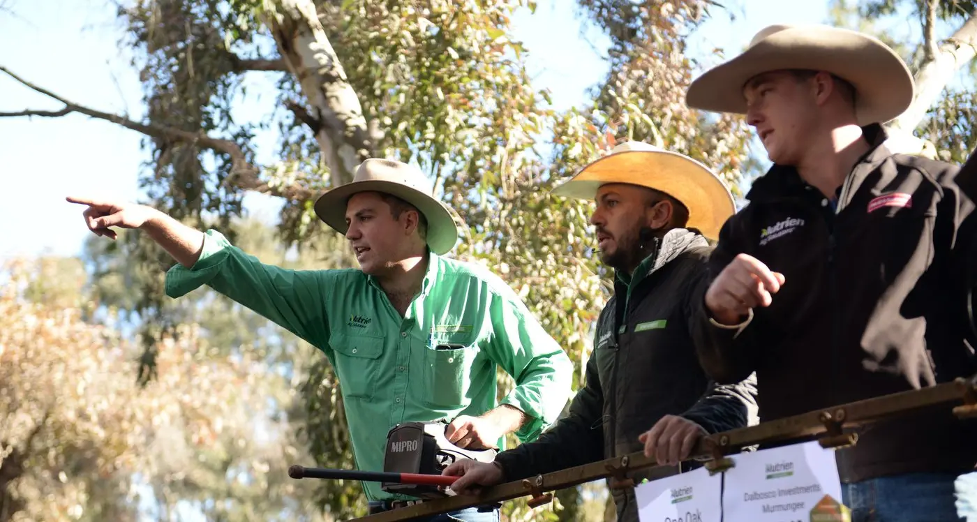 Dry autumn causes consternation, but some are optimistic