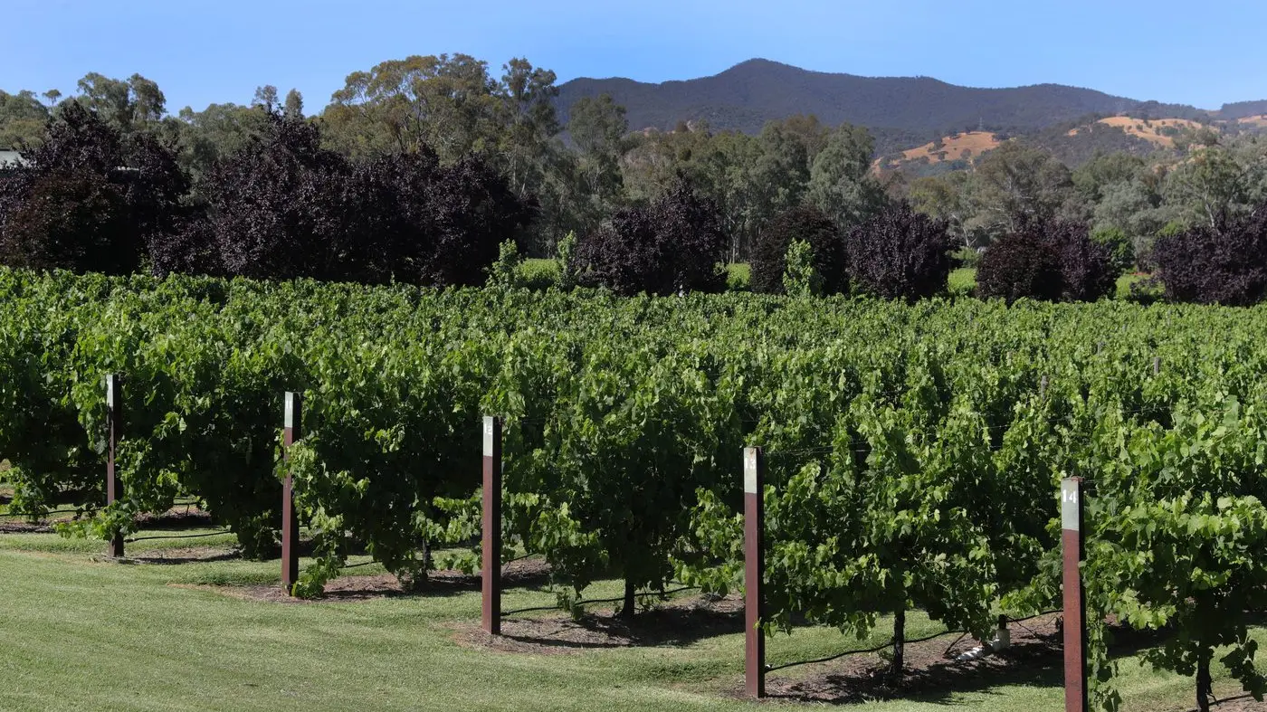 Growers happy with progress