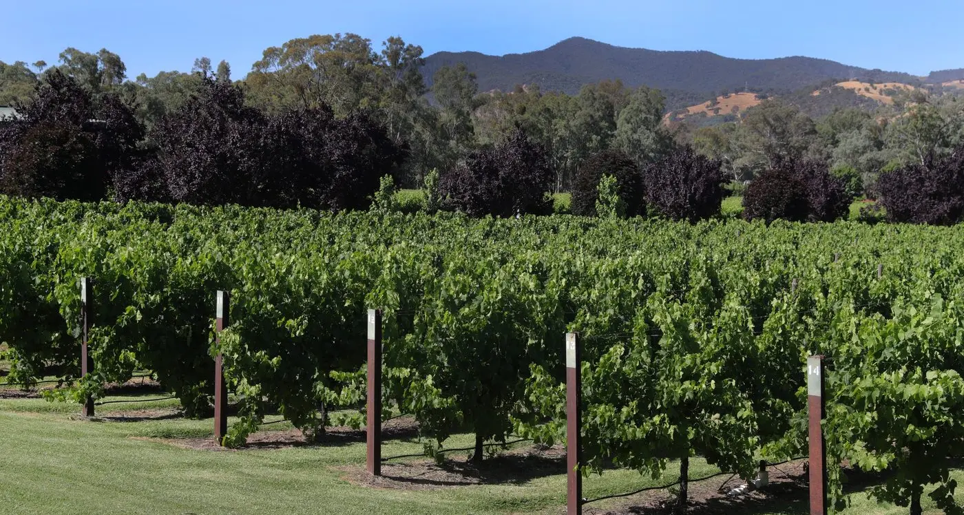 Growers happy with progress