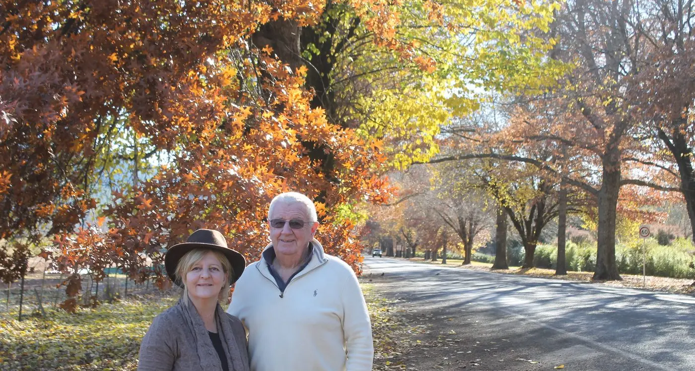 More protection for Bright's 'Gateway Trees'