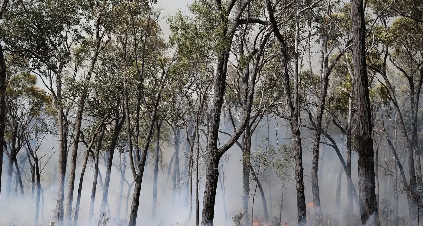 Wandiligong residents invited to contribute to emergency planning