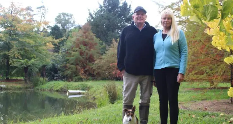 Boost for local business