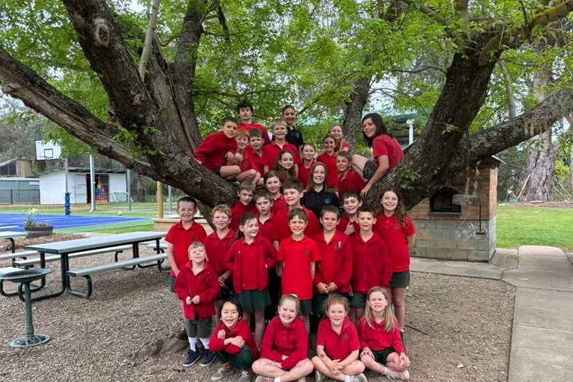 <p>MILESTONE: Whitfield Primary School students will celebrate 150 years of education, community and connection this Saturday with a community event. </p>\\n