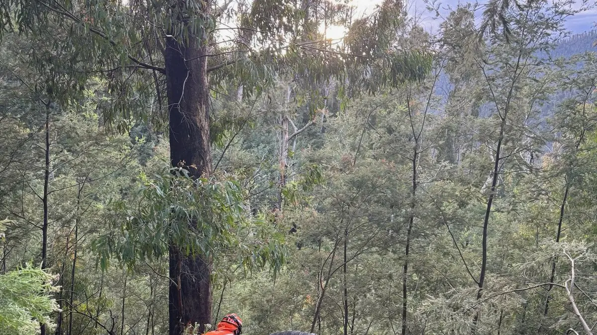 Passenger airlifted to Melbourne in stable condition after single-vehicle crash