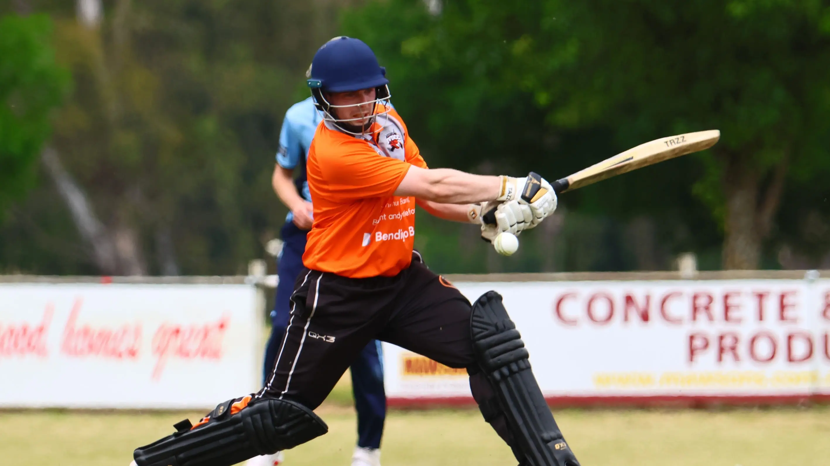 Mixed results from Tigers' T20 bonanza
