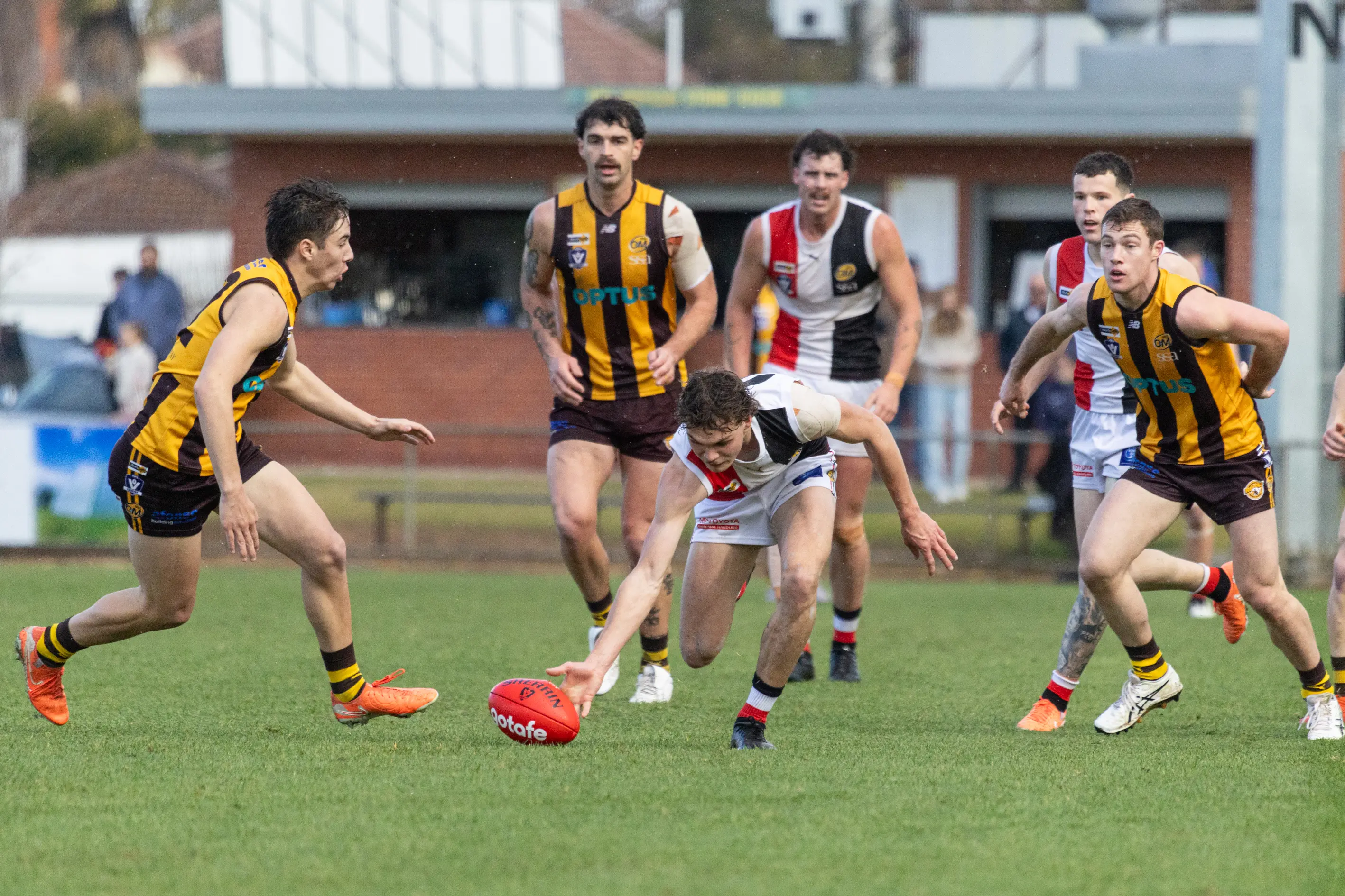 <p>SAVE THE DATE: Myrtleford Saints commence their 2026 O&M campaign at home against Albury on Sunday, 5 April. PHOTO: Marc Bongers</p>\\n