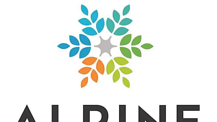 Council to use $100,000 grant to bolster economic recovery