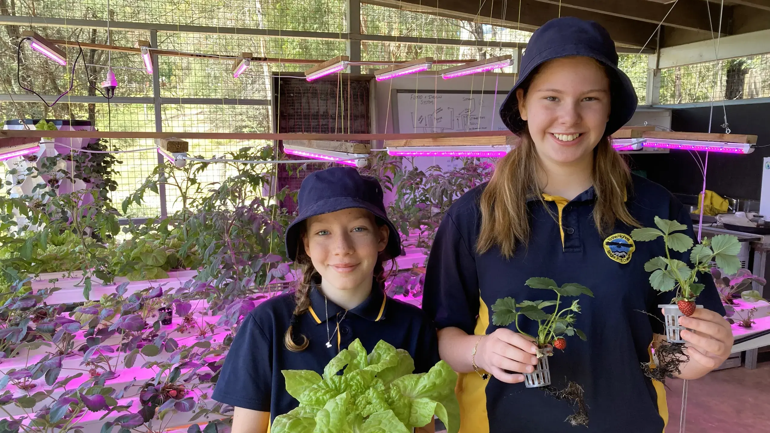 Fresh from the garden: Bright P–12 College produce shop joins the Bright Food Co-op