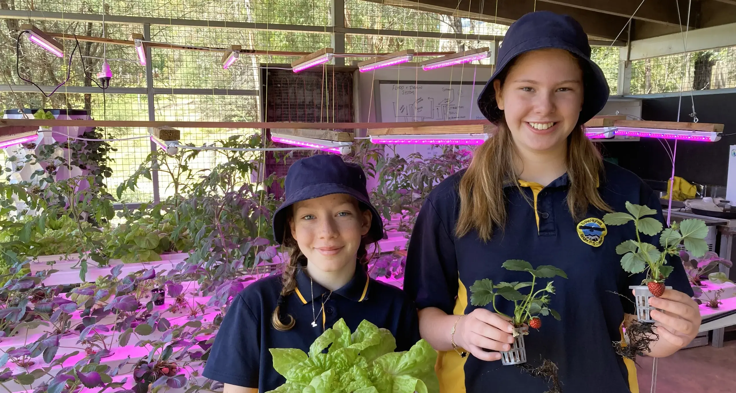 Fresh from the garden: Bright P–12 College produce shop joins the Bright Food Co-op