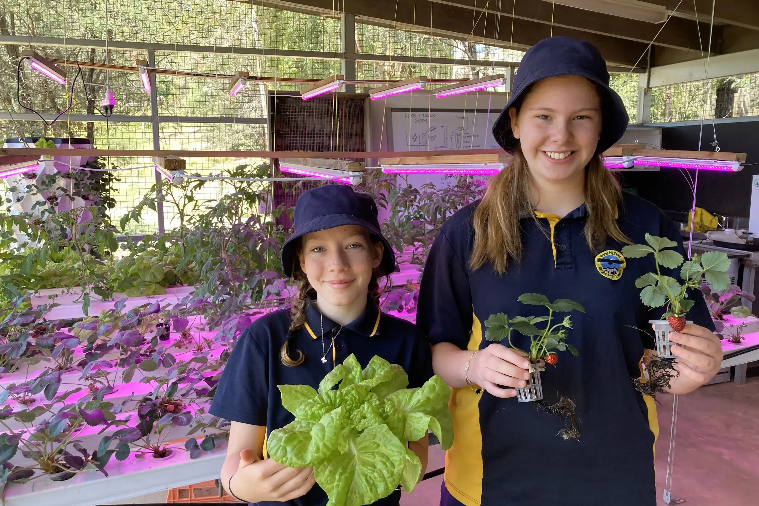 <p>WIN-WIN: The Bright P-12 College\\'s horticulture program sees fresh healthy produce for families and meaningful educational opportunities for young people, such as Sophie Joyce-Berndt (left) and Emerson Monshing. PHOTOS: Bright P-12 College</p>\\n