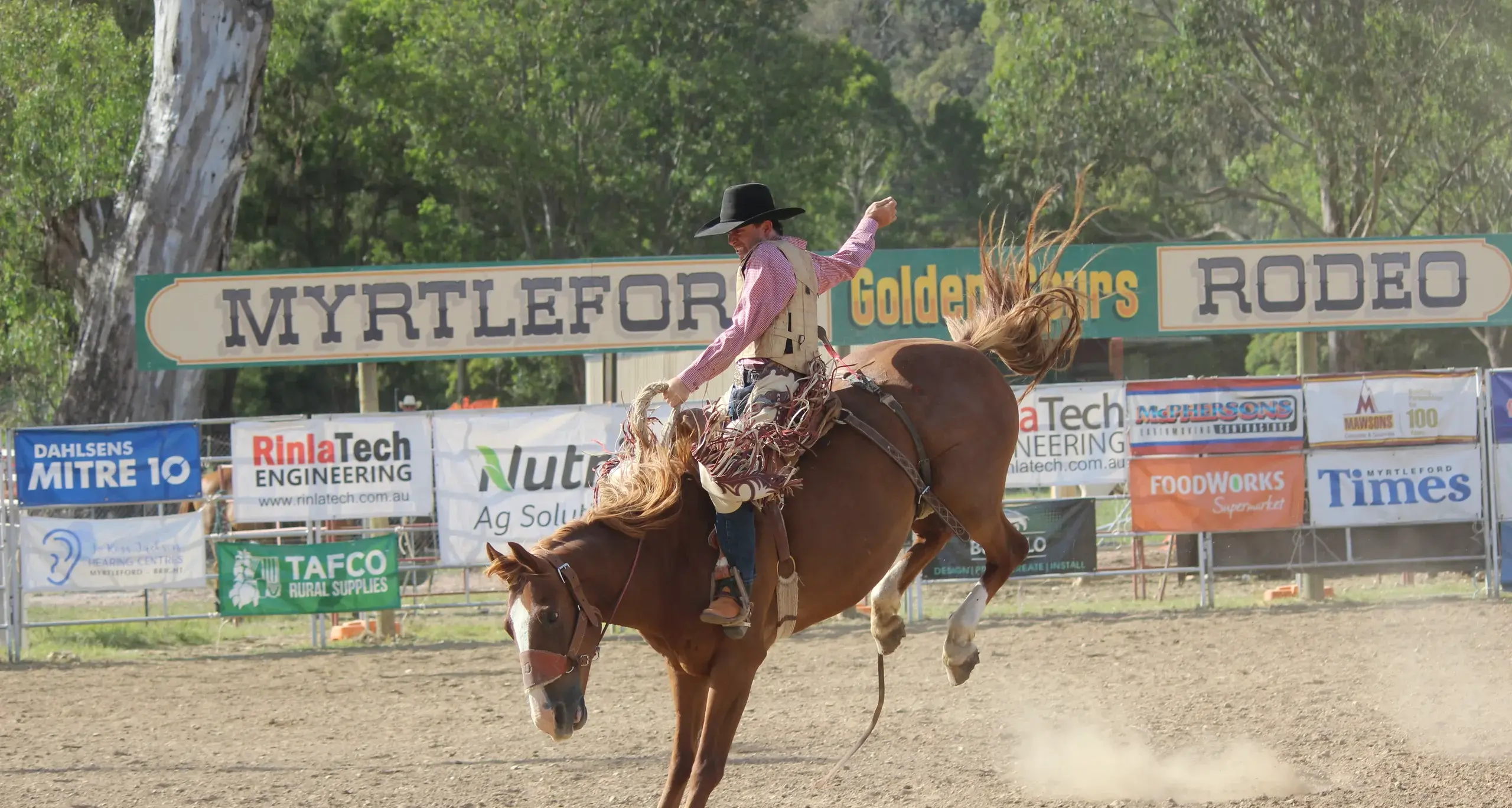 Region ready for the rodeo