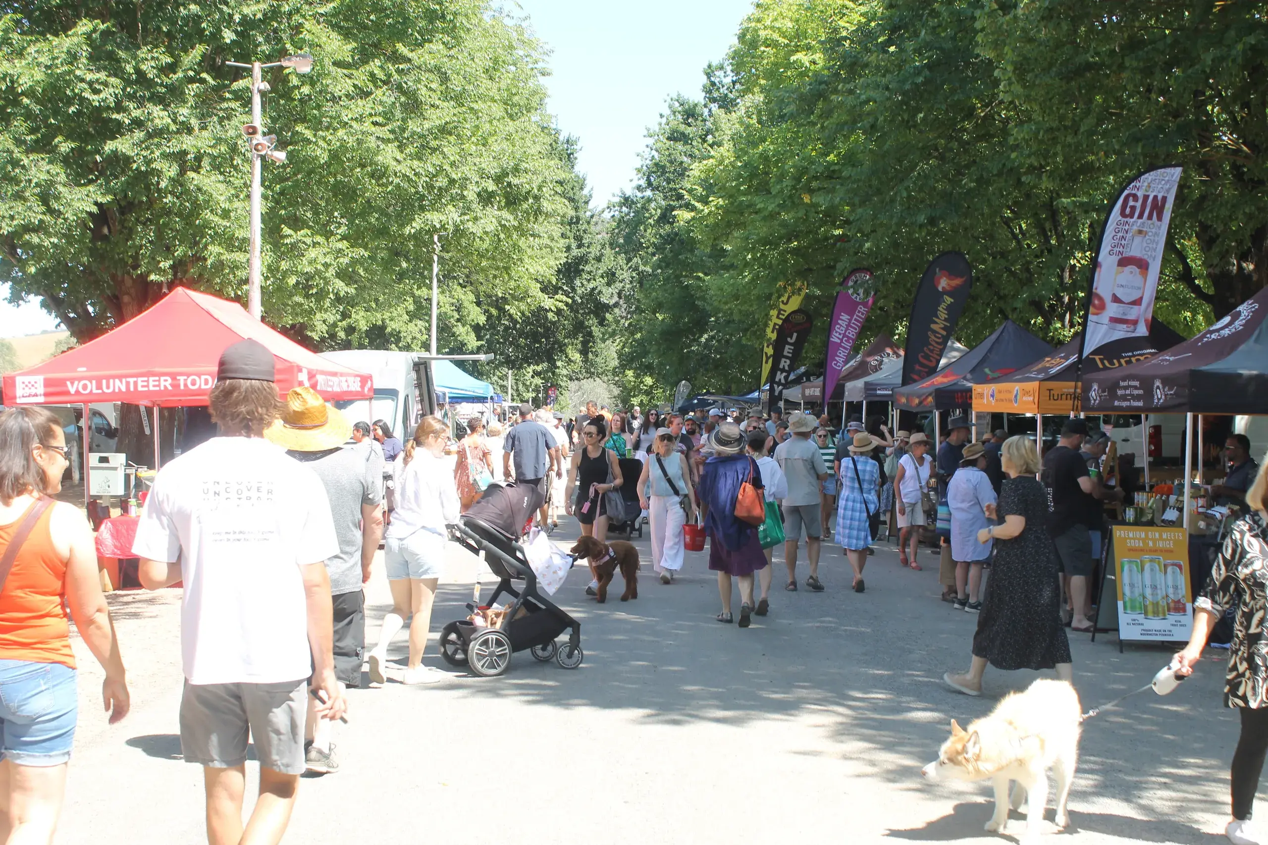 <p>WHAT WILL YOU FIND AT THE MARKET? Plenty of food, drink and entertainment will be available at \\'next year\\'s\\' Myrtleford Bush Market. PHOTO: Phoebe Morgan</p>\\n