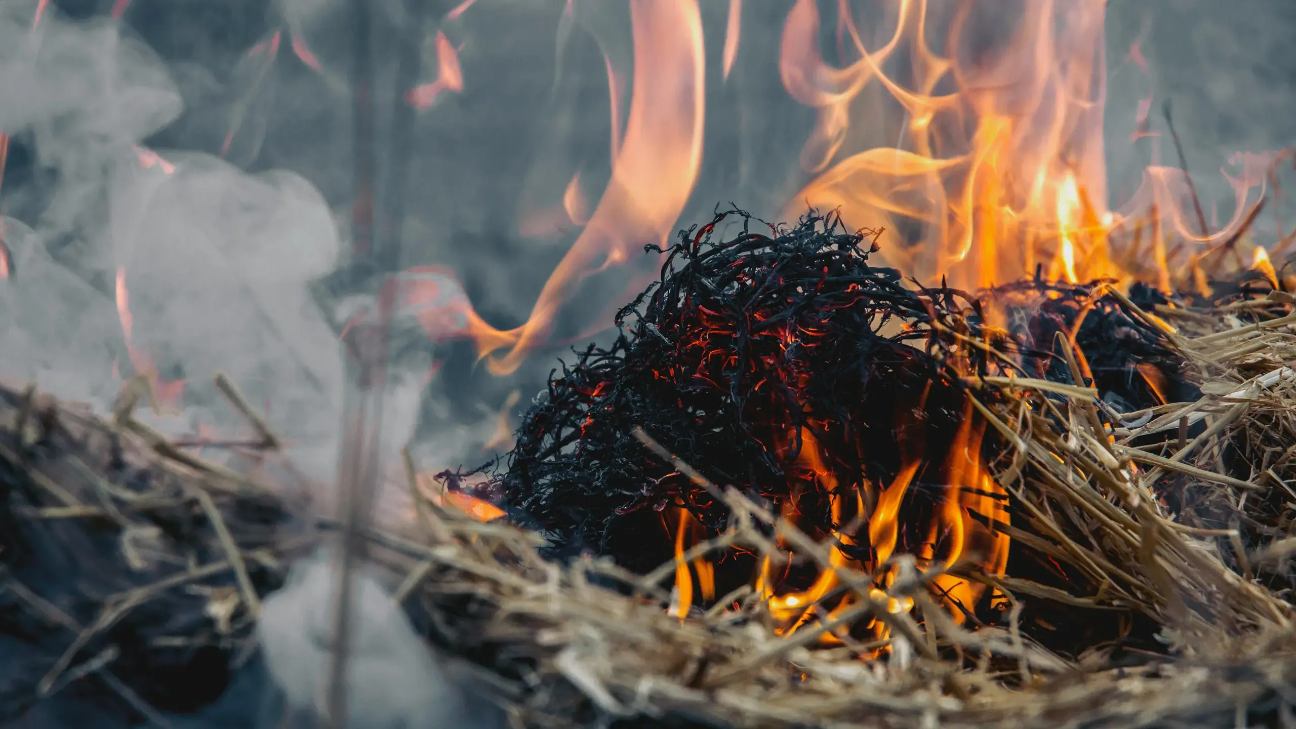 VFF activates Disaster Relief Fund to help devastated bushfire impacted farmers