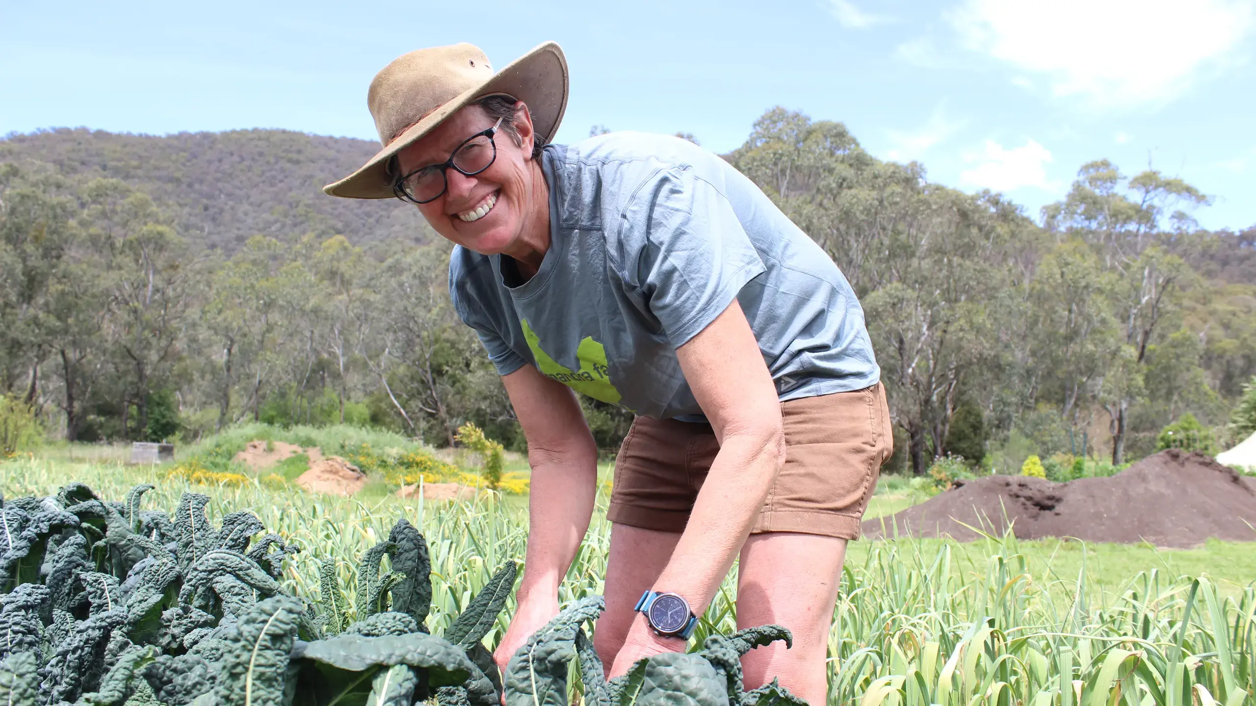 $700k boost for North East food system growth