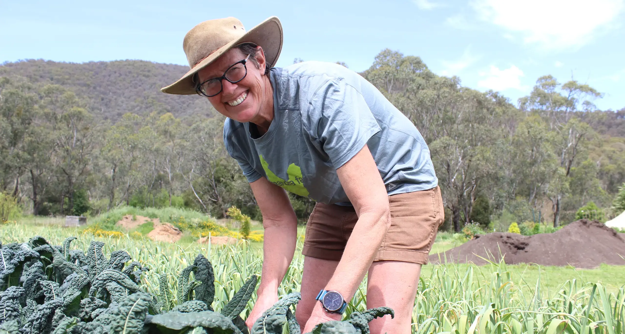 $700k boost for North East food system growth