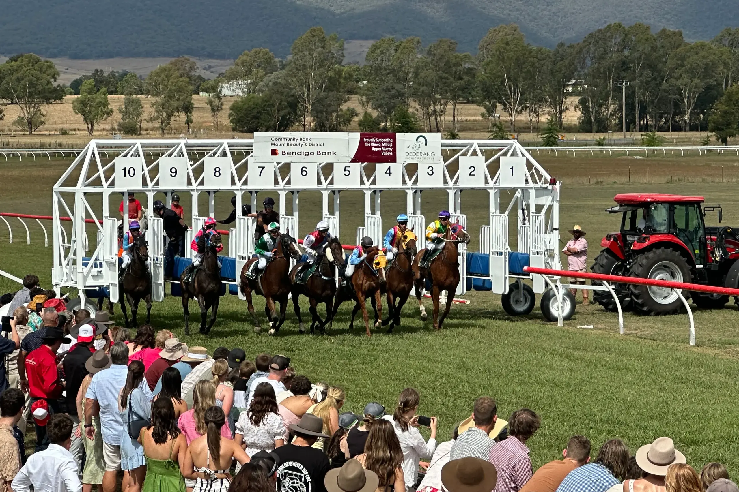 Race day draws near for Dederang