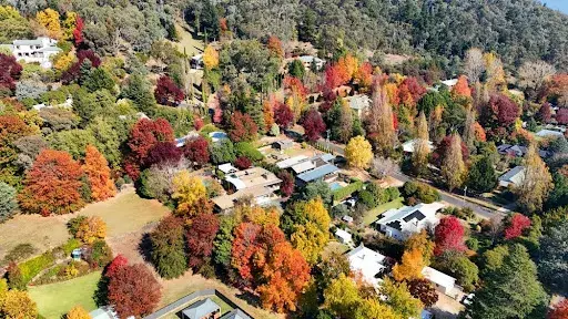 Tree Change: What to Expect from Life in The Alpine Shire
