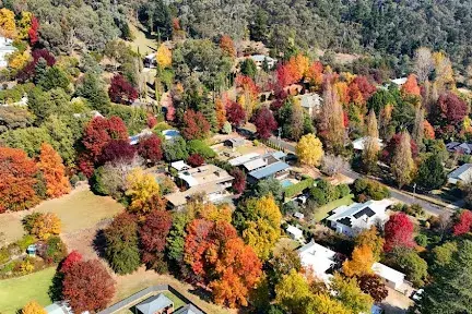 Tree Change: What to Expect from Life in The Alpine Shire