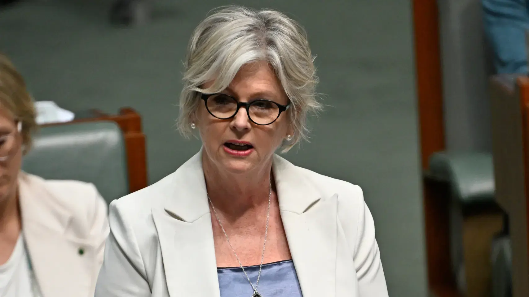 Hate group ban and gun reform laws pass senate