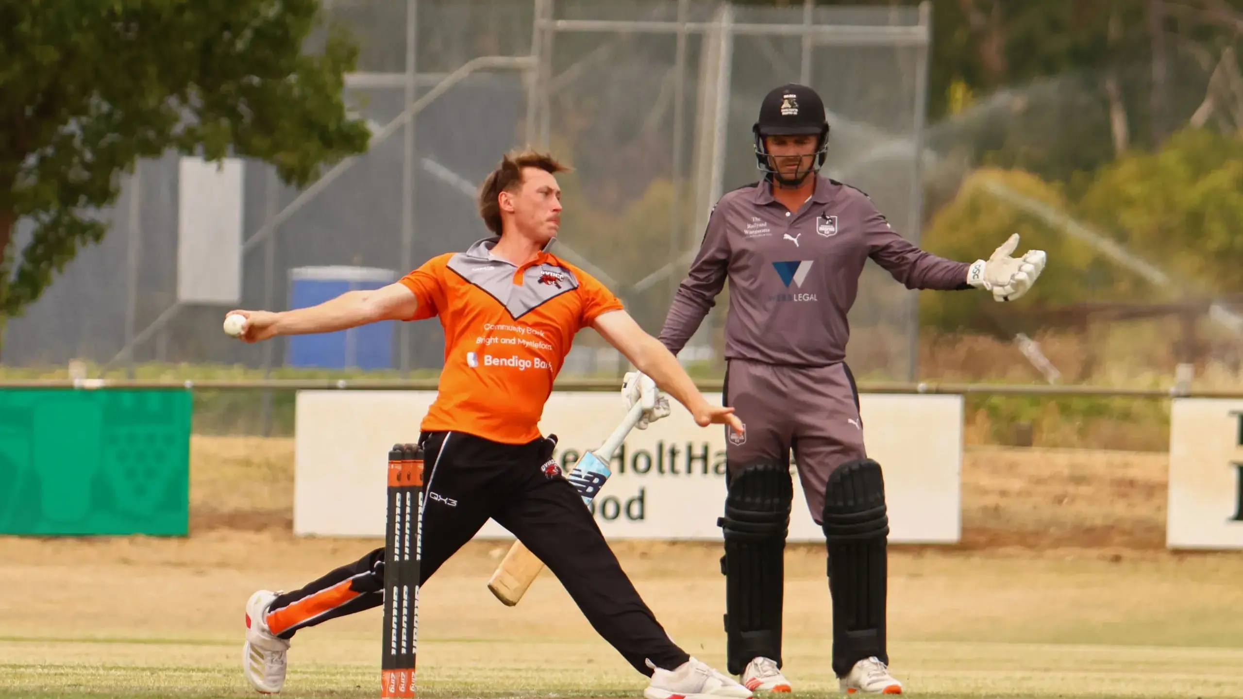 Tigers fall in a heap