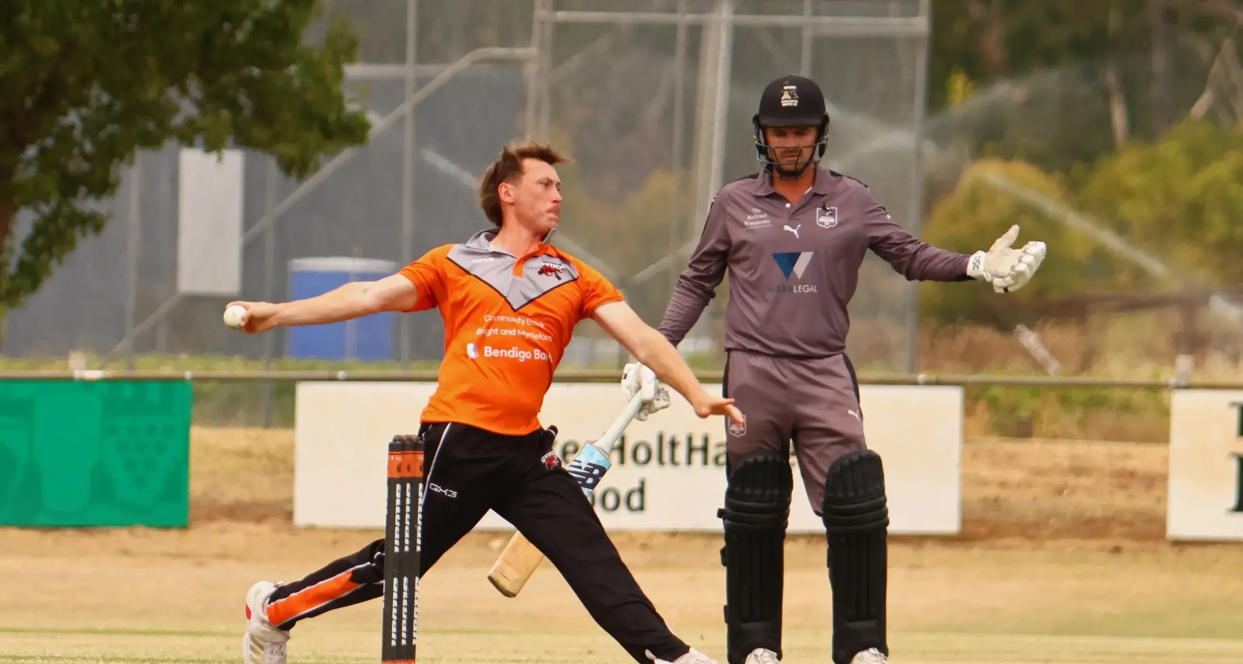 Tigers fall in a heap