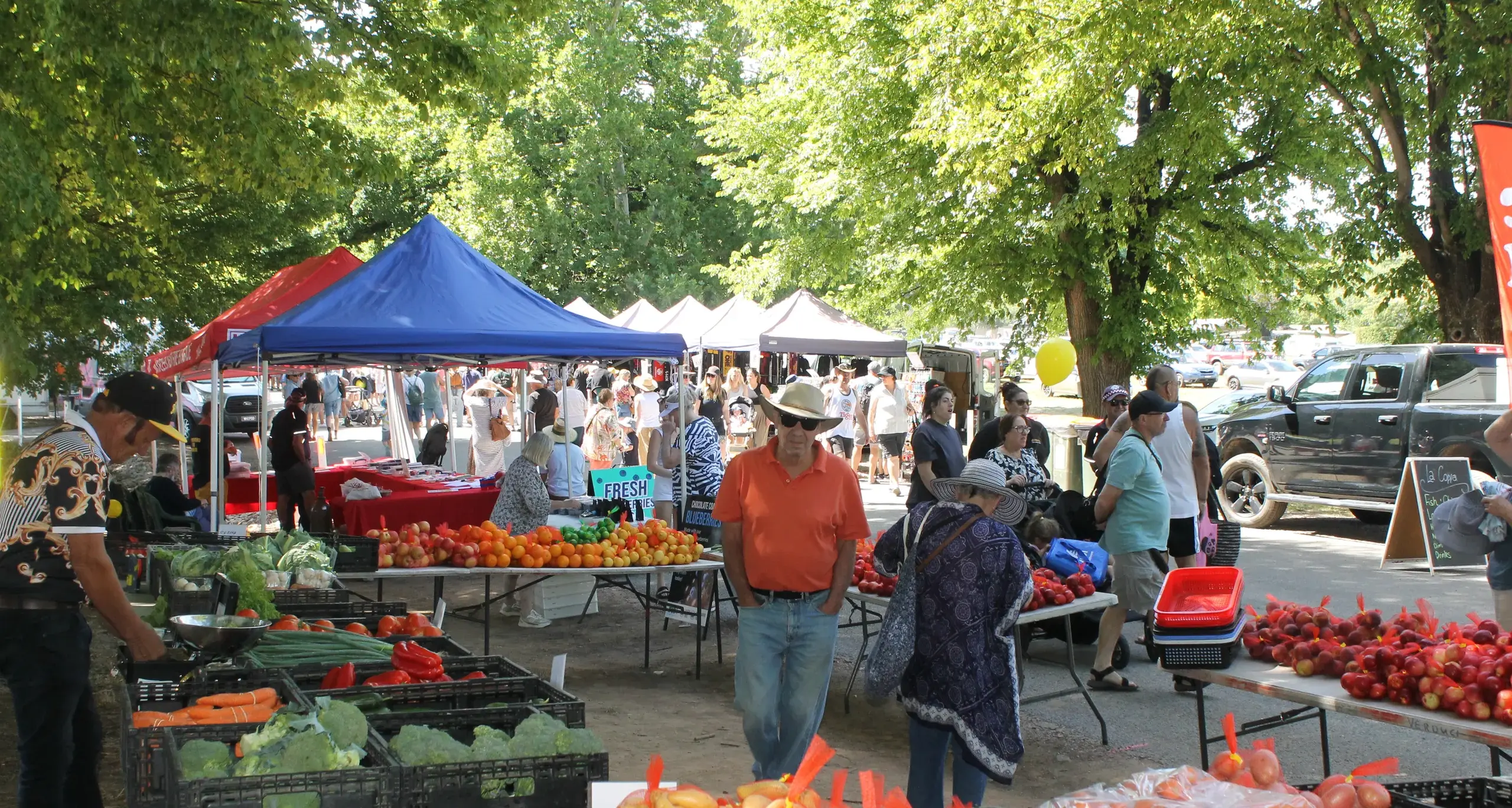 Community and businesses invited to help shape council’s 'Tourism and Events Strategy'