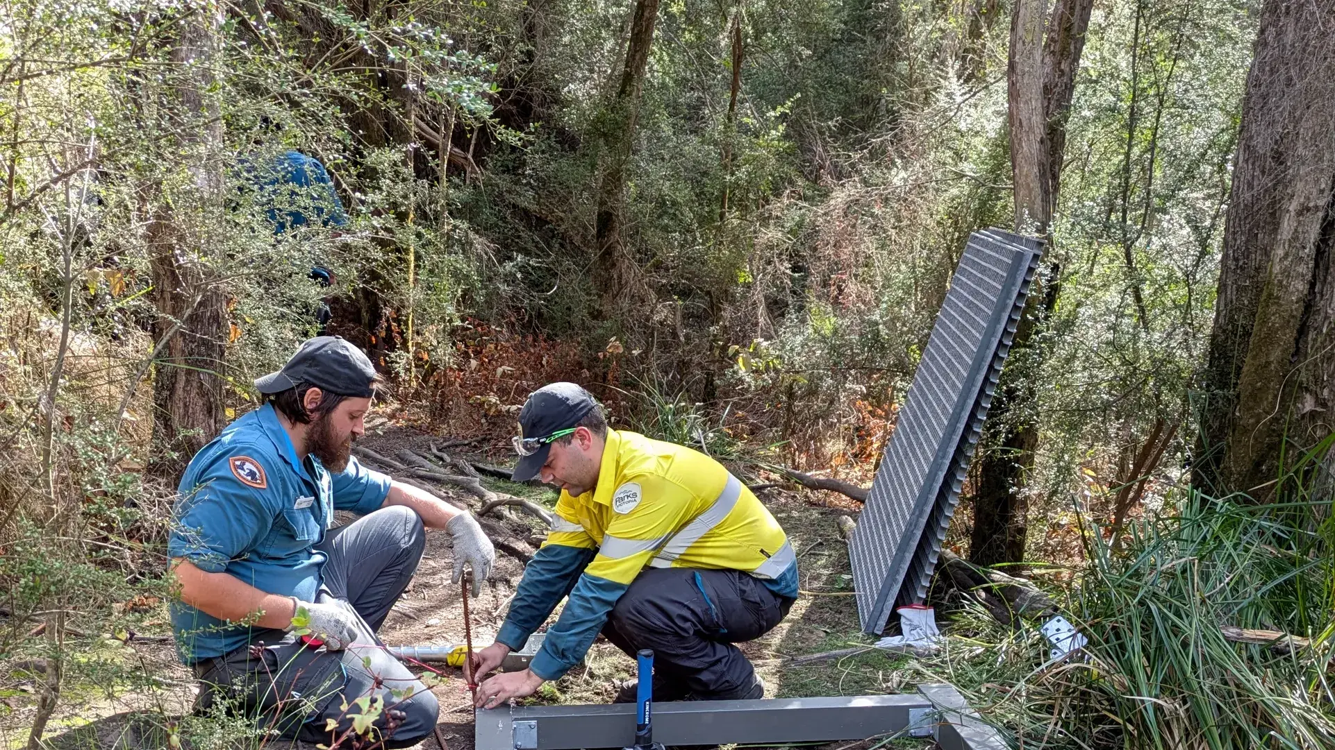 Love the outdoors? Make it your career