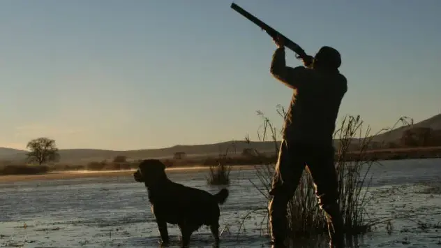 Daily bag limit of nine ducks for season