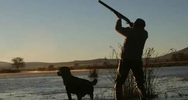 Daily bag limit of nine ducks for season