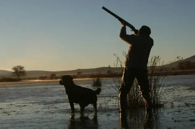 <p>DUCK HUNTING: Hunters have been set a nine bird limit per day for the 2026 Victorian duck hunting season.</p>\\n
