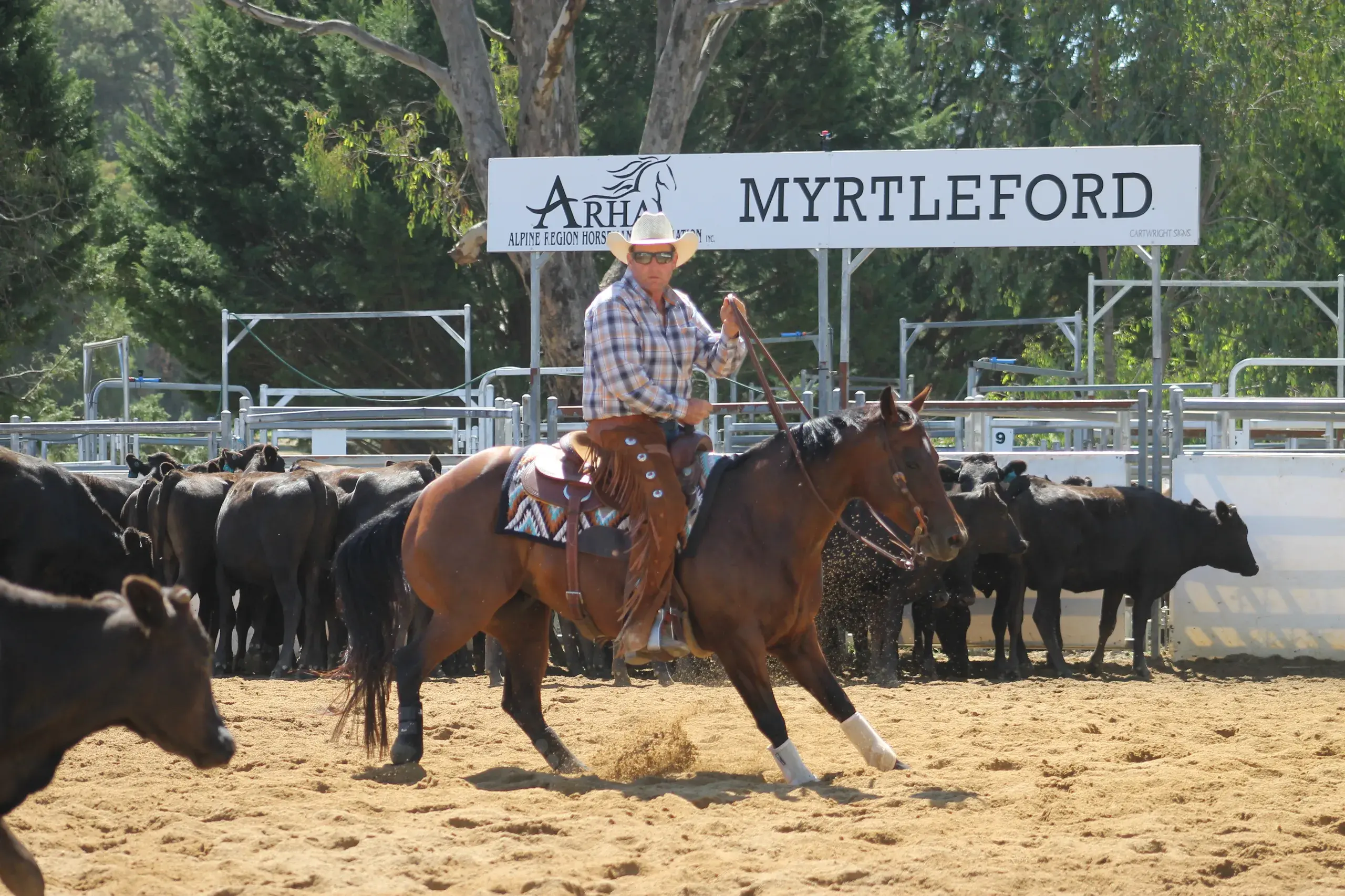 Cutting comes back to Myrtleford