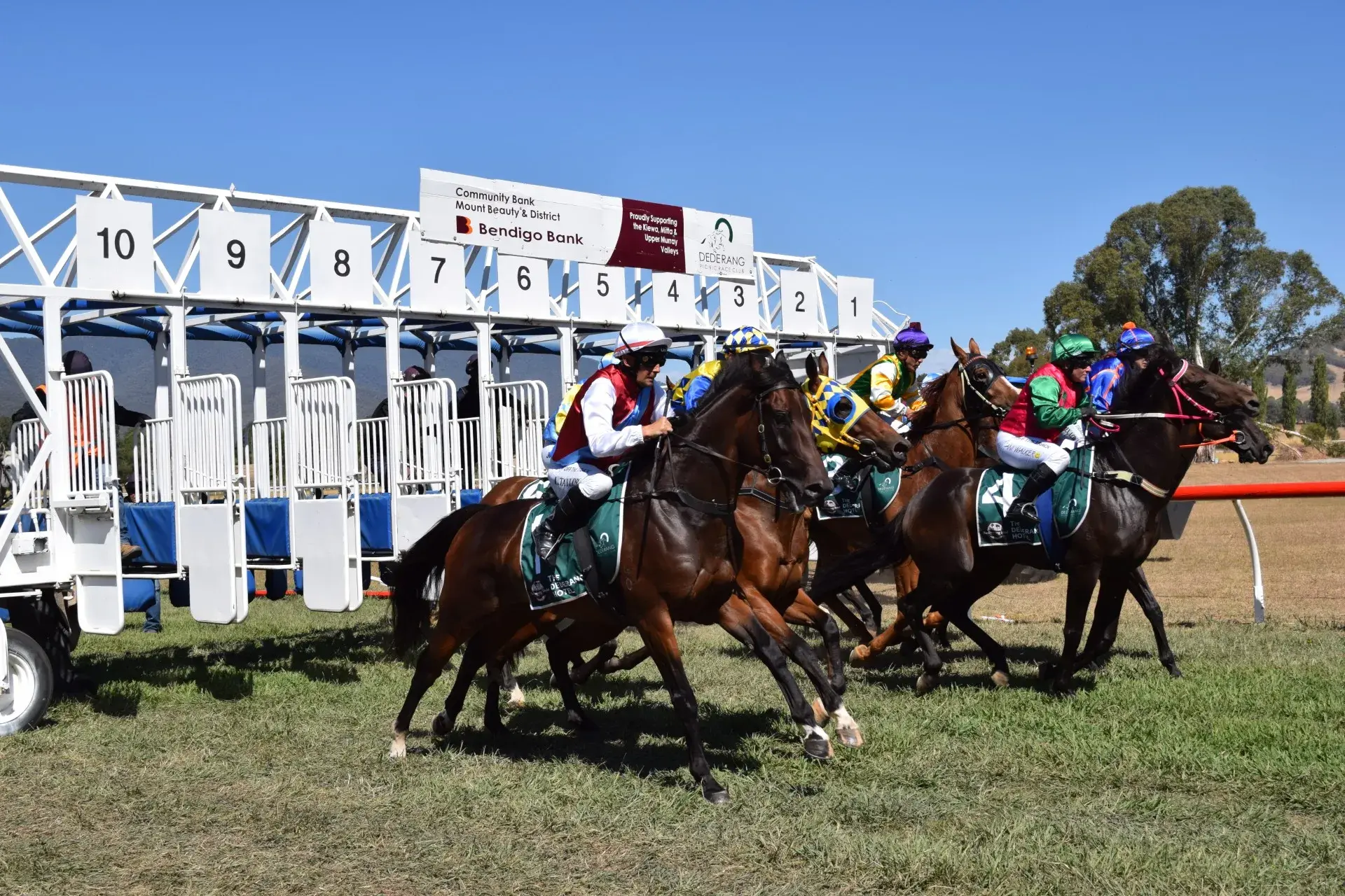 Returning races a roaring success