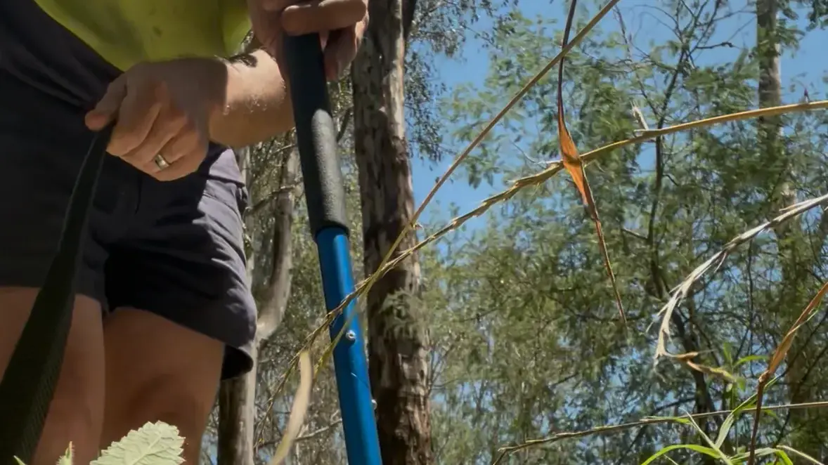 Snakebites surge in the North East as paramedics urge caution