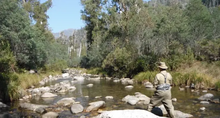 Challenge to bring anglers into the Ovens catchment