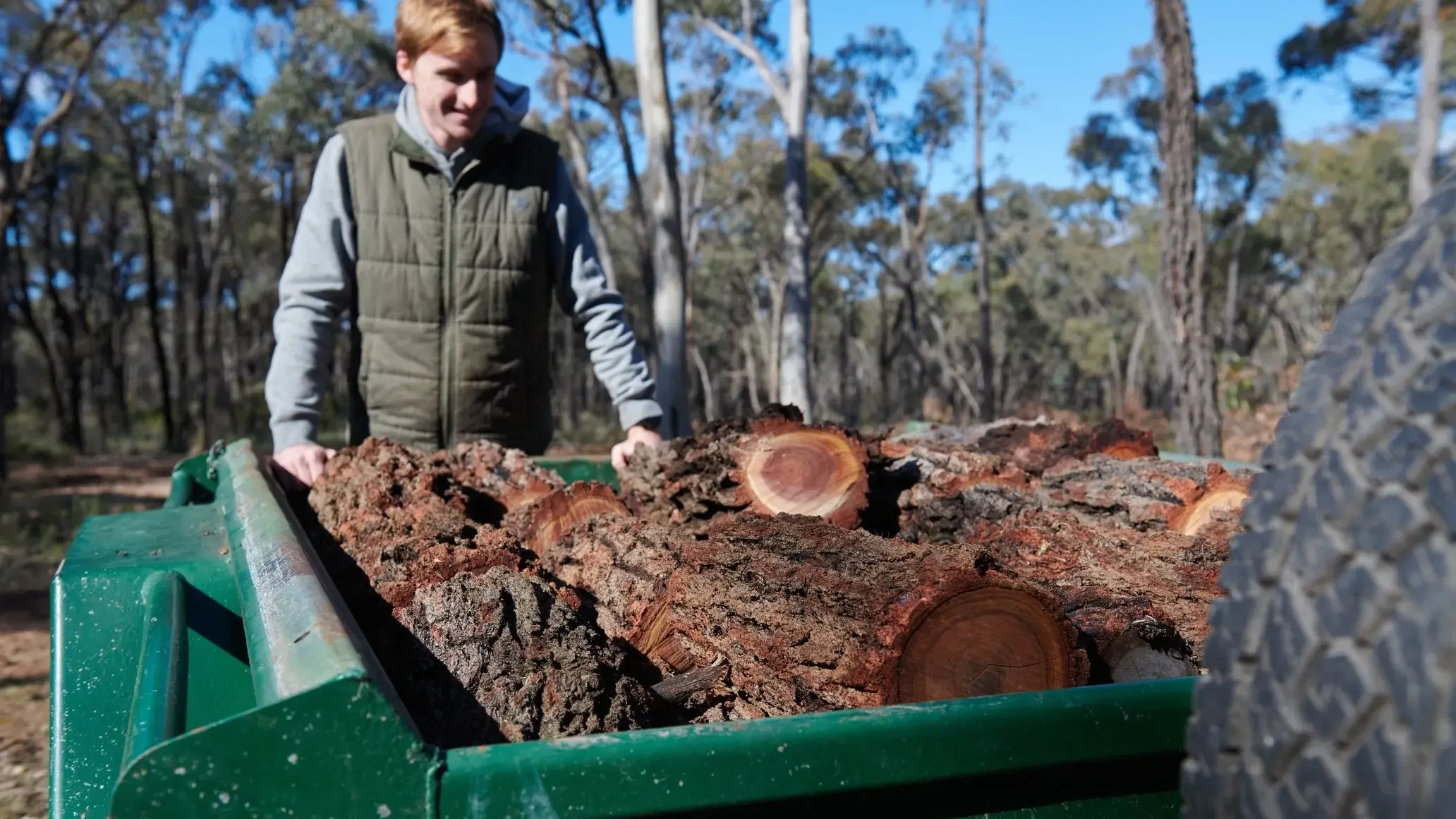 Firewood collection areas open in Hume region