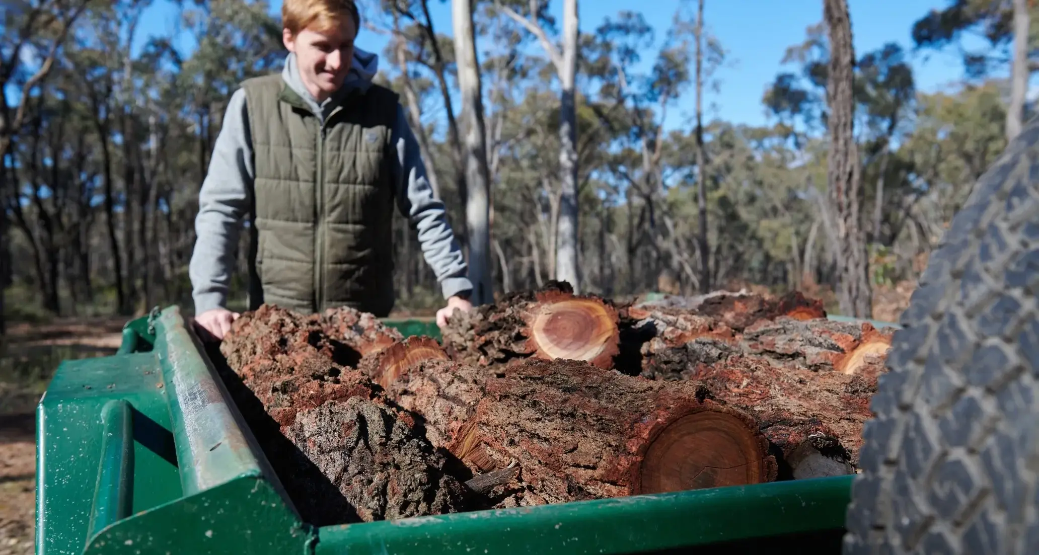 Firewood collection areas open in Hume region