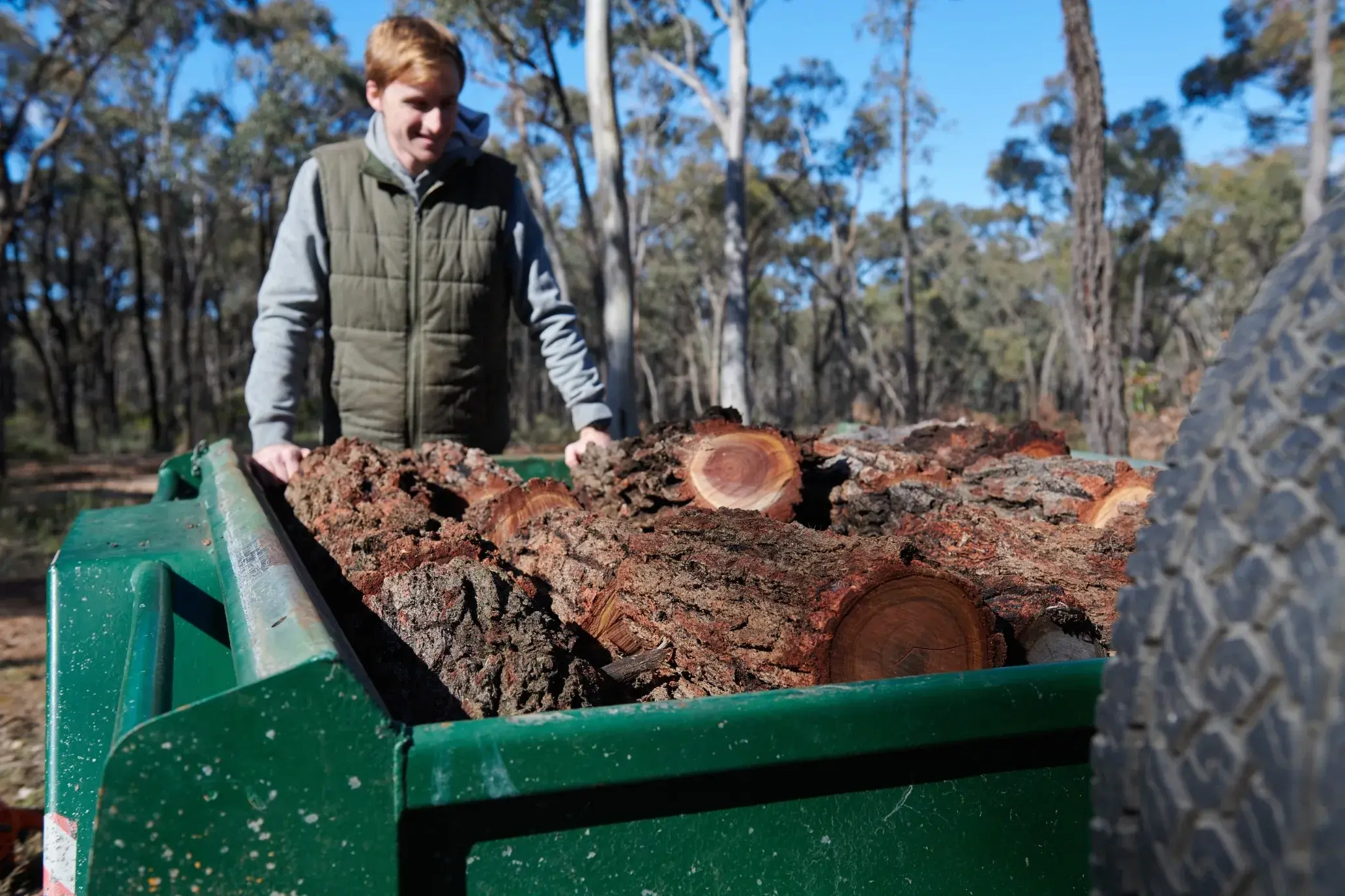 <p>OPEN FOR AUTUMN: Designated state forest areas are open for firewood collection for personal use until the end of June.</p>\\n