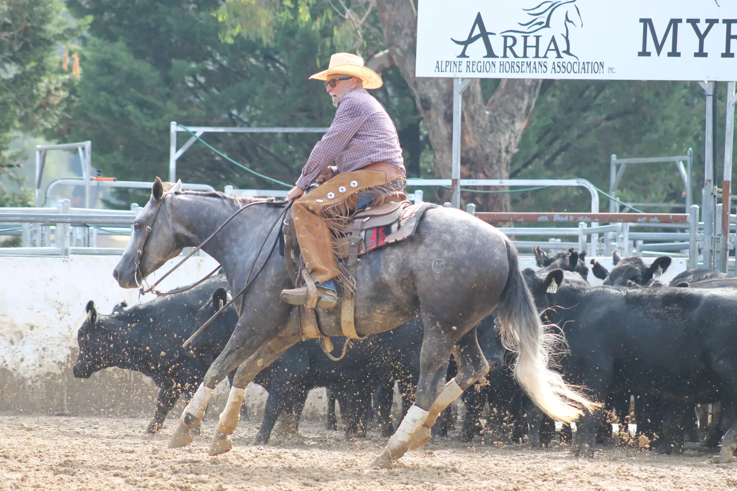 <p>MOVING MUD AROUND: Vaughn McGuinness on \\'Reyzer Hot\\' kicked up the ground to control the herd during his run.</p>\\n