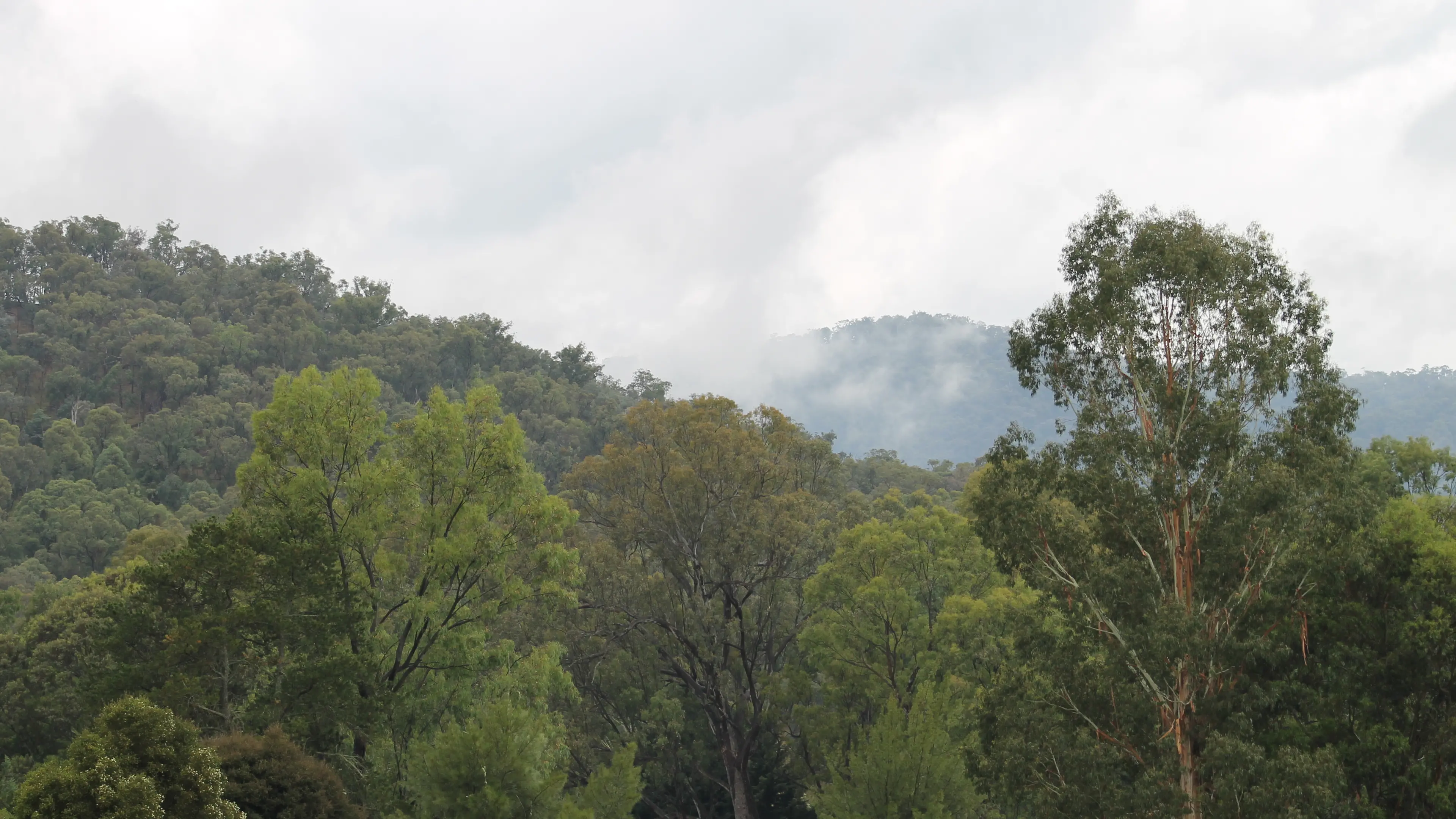 Landcare grants to boost outstanding work of volunteers
