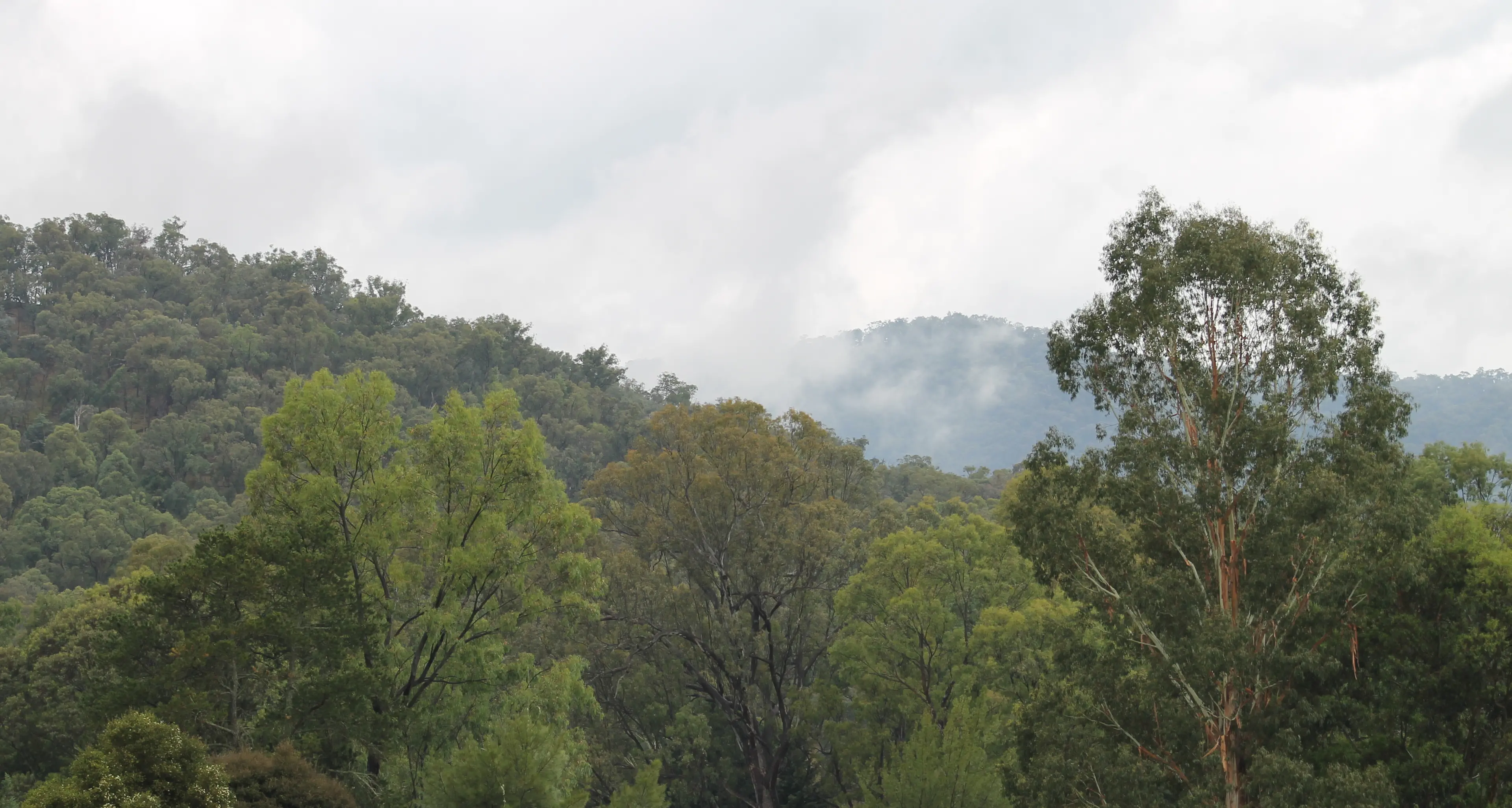 Landcare grants to boost outstanding work of volunteers