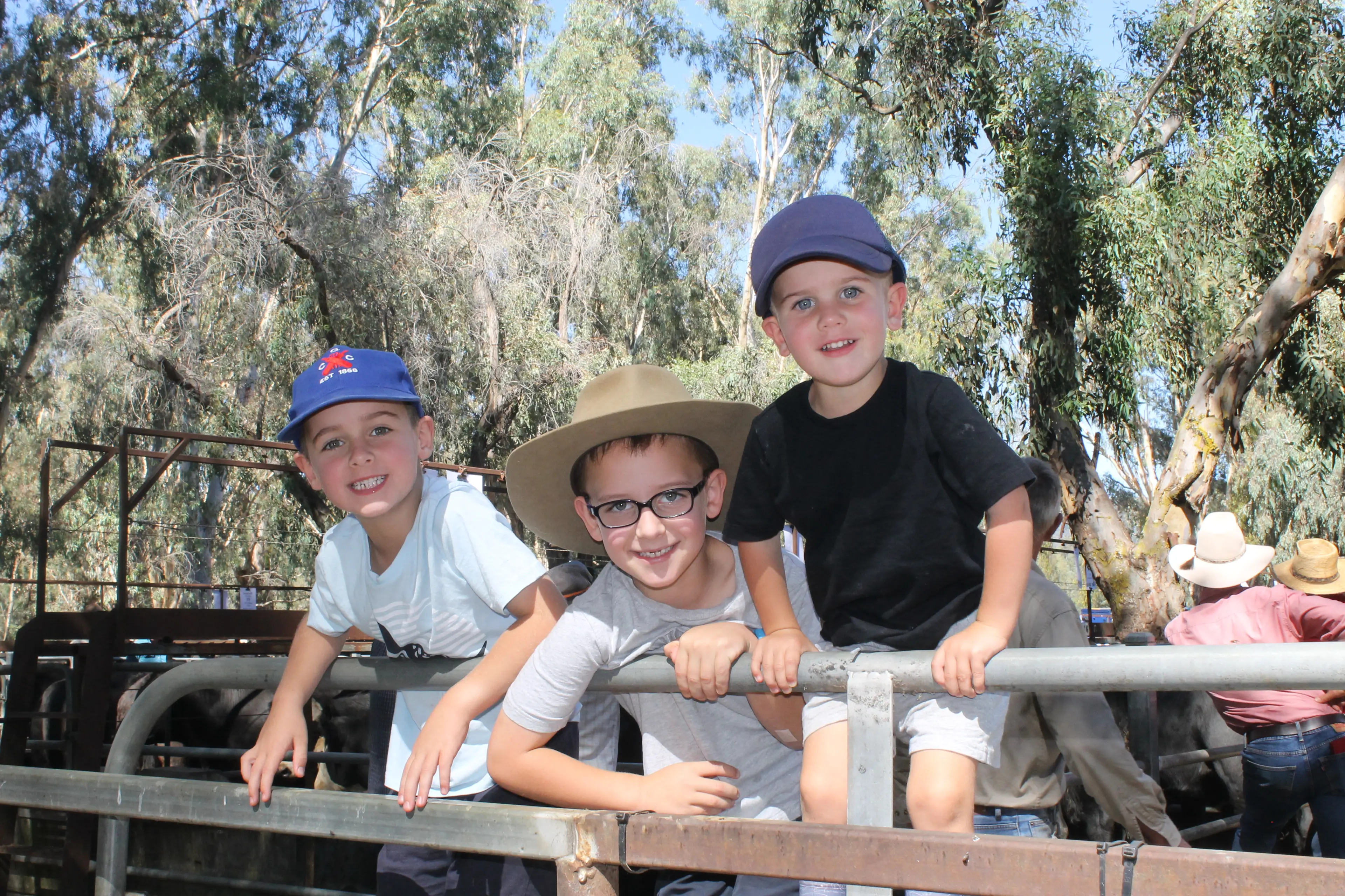 <p>MARKET JOY: Market day in Myrtleford didn\\'t just bring 2750 cattle for sale at two quality yardings on Friday. It also drew hundreds of people to town, including young Buffalo River cattle enthusiasts Oscar, Hamish and Archer Masterson. PHOTO: Phoebe Morgan</p>\\n