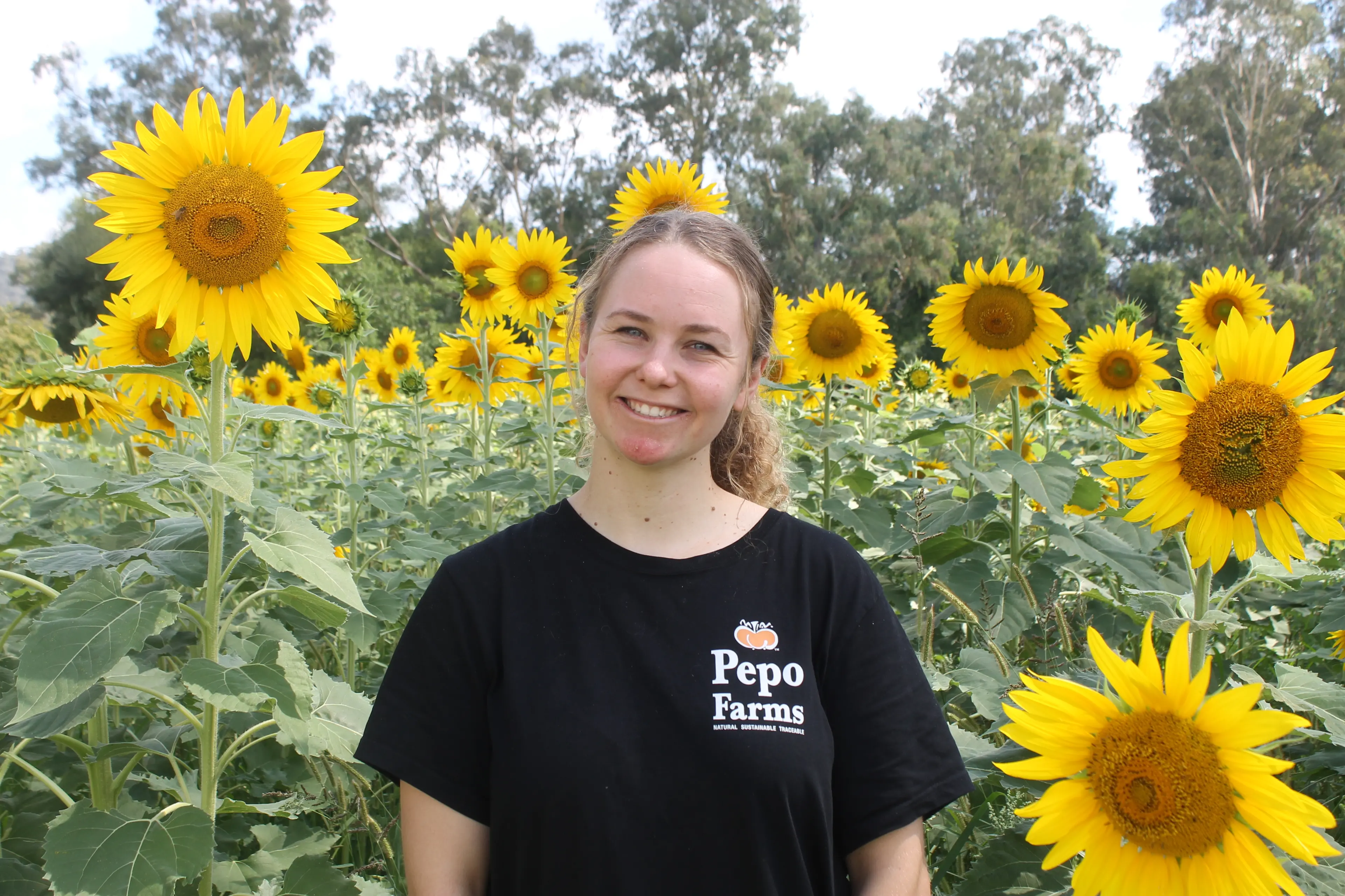 <p>BRILLIANT BACK-DROP: Pepo Farms front-of-house worker, Tina Lauszuz said baby photoshoots are a common occurrence as their sunflowers pop up each year. PHOTO: Phoebe Morgan</p>\\n