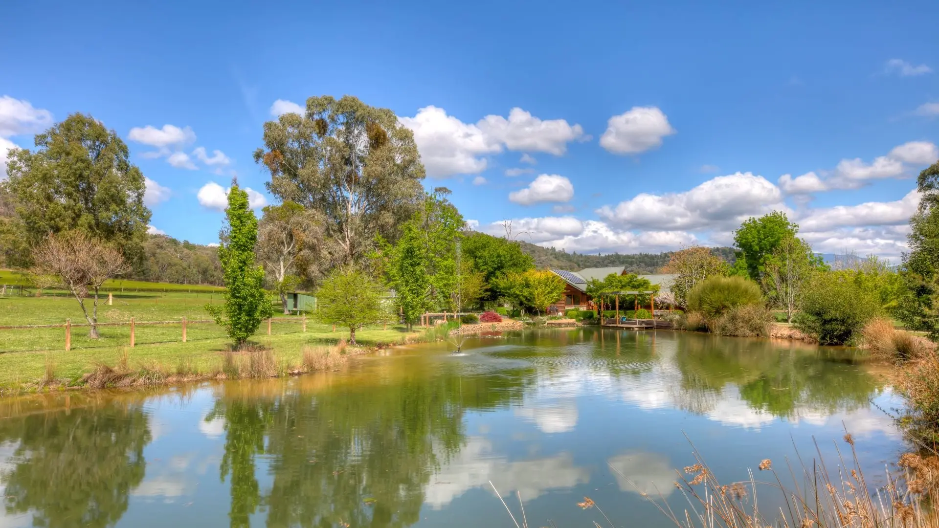 55 Acres, Green Tea Plantation, A Wonderful Lifestyle Opportunity Awaits