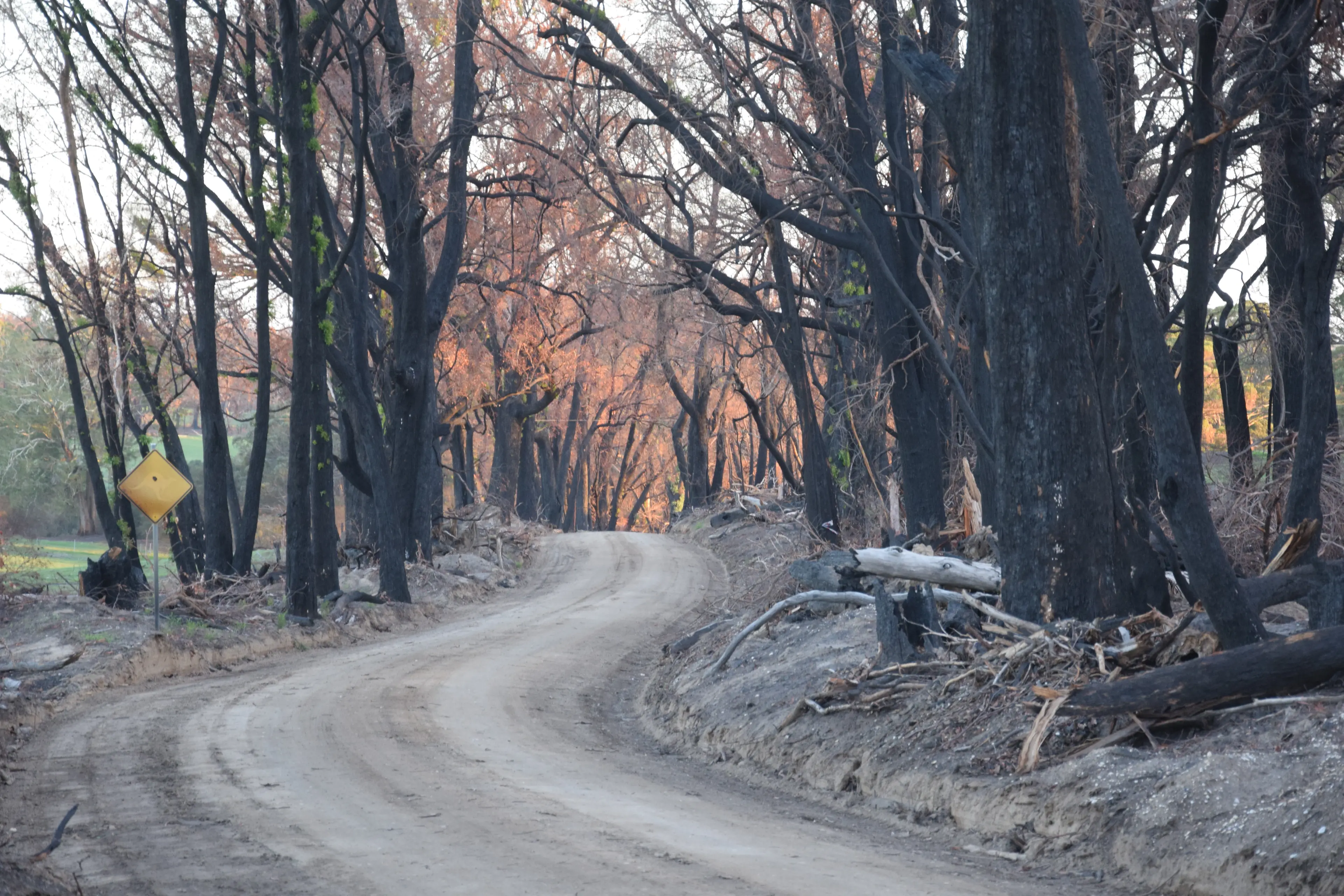 <p>ROAD TO FUTURE: All councils affected by the January bushfire are joining forces. PHOTO: Andy Wilson</p>\\n
