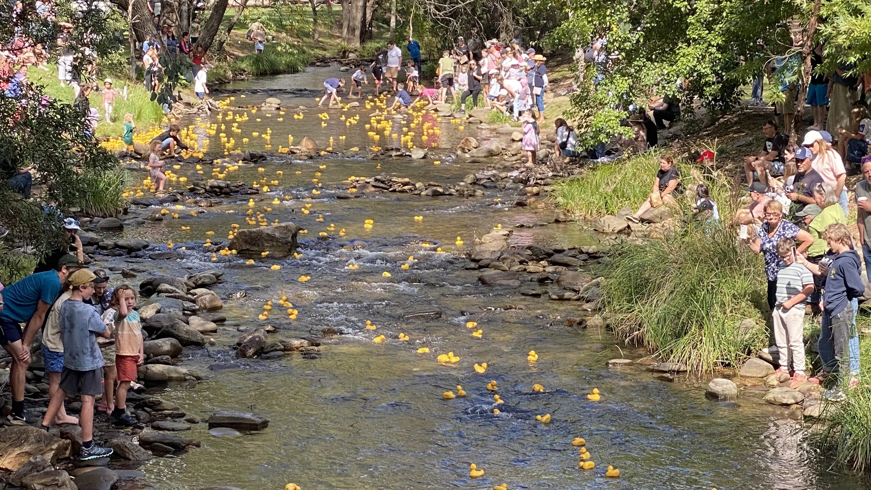 Harrietville marks holiday weekend with Bush Market and annual Duck Race