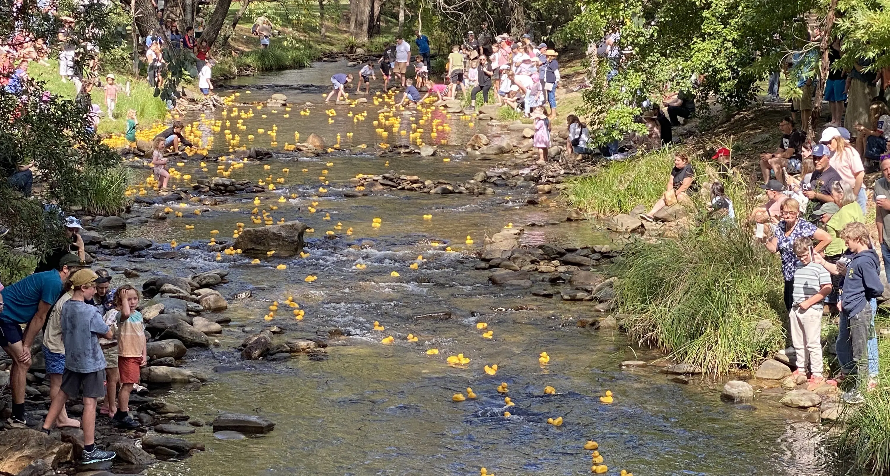 Harrietville marks holiday weekend with Bush Market and annual Duck Race