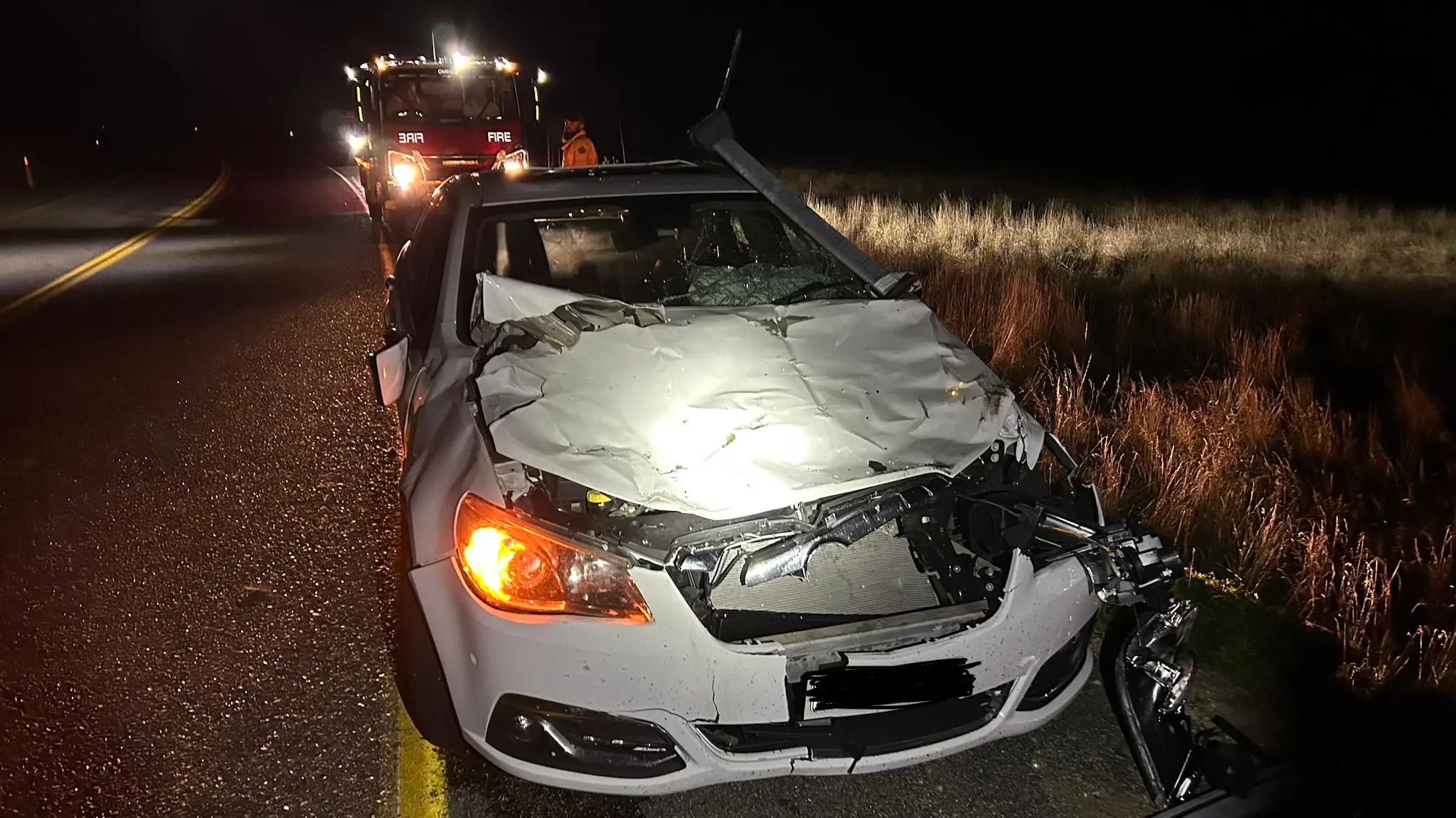 Car and cow collide near Dinner Plain
