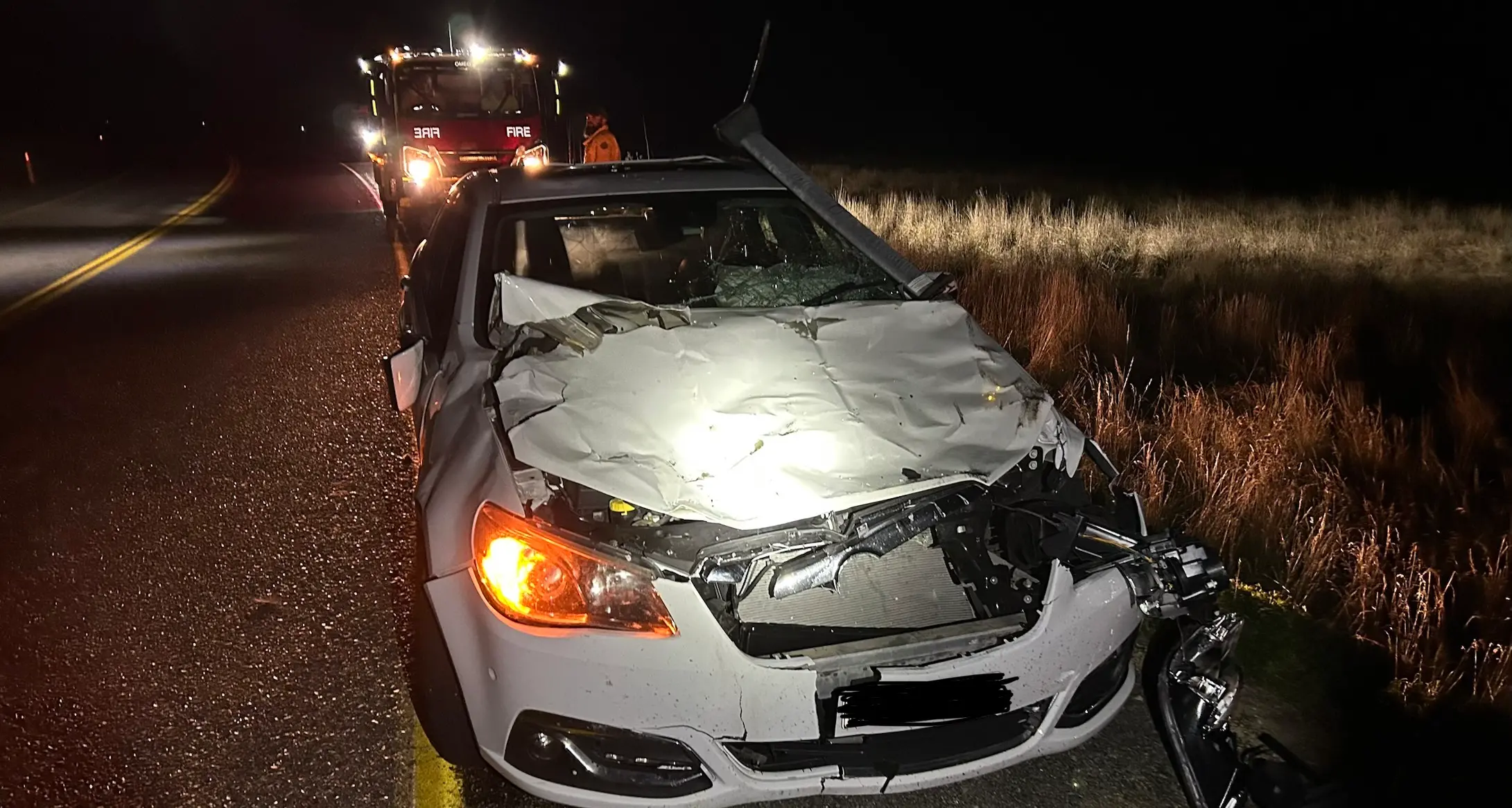 Car and cow collide near Dinner Plain